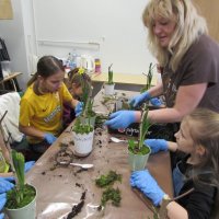 Dzieci wykonują wiosenne kompozycje na warsztatach florystycznych.