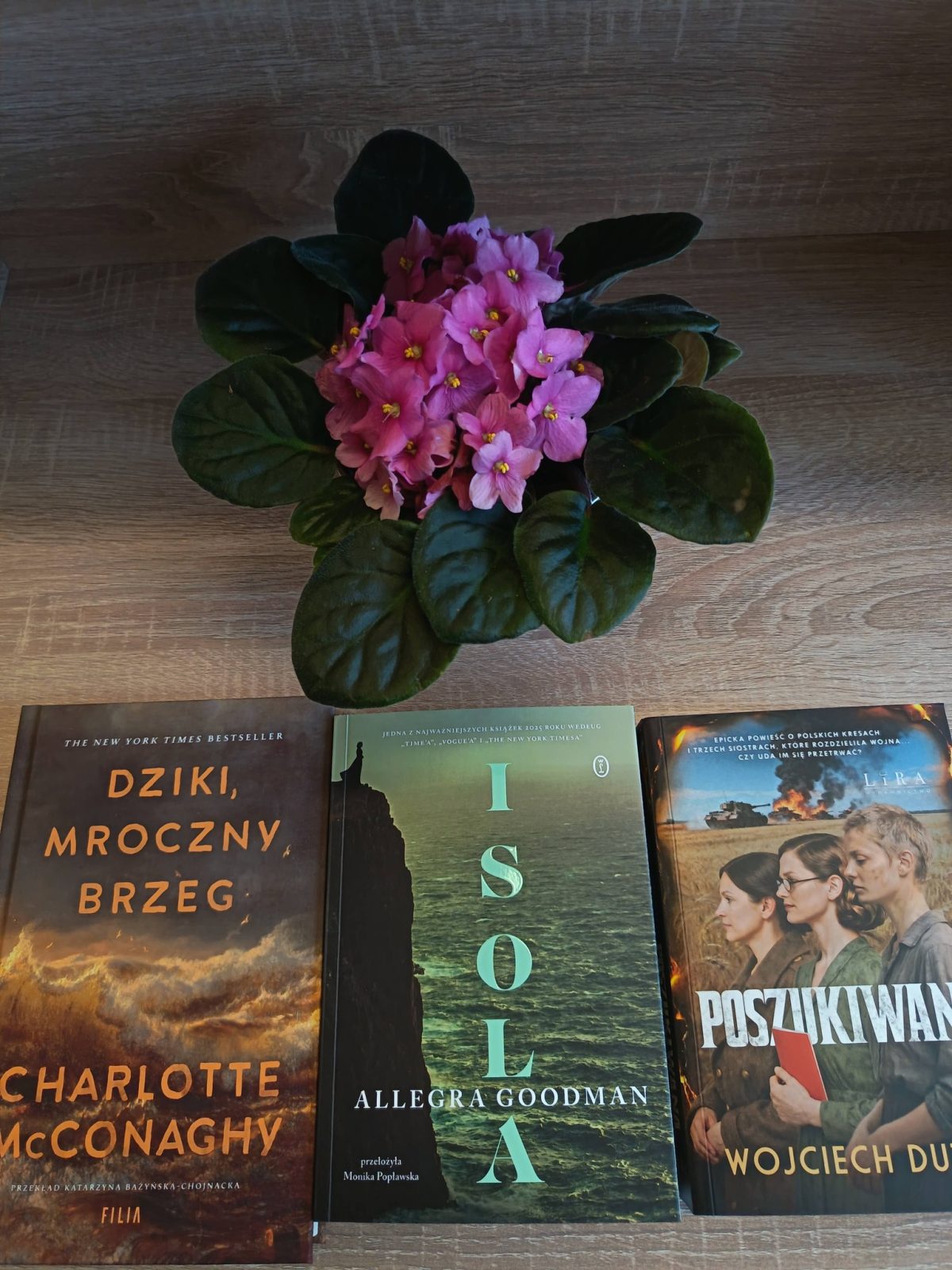Nowości książkowe w Bibliotece w Bobrownikach Małych