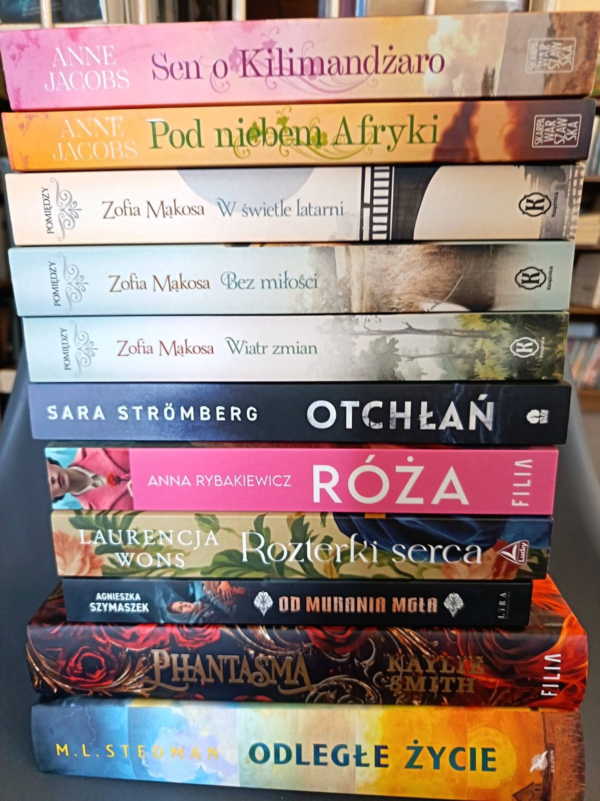 Nowości wydawnicze w bibliotece w Bobrownikach Małych